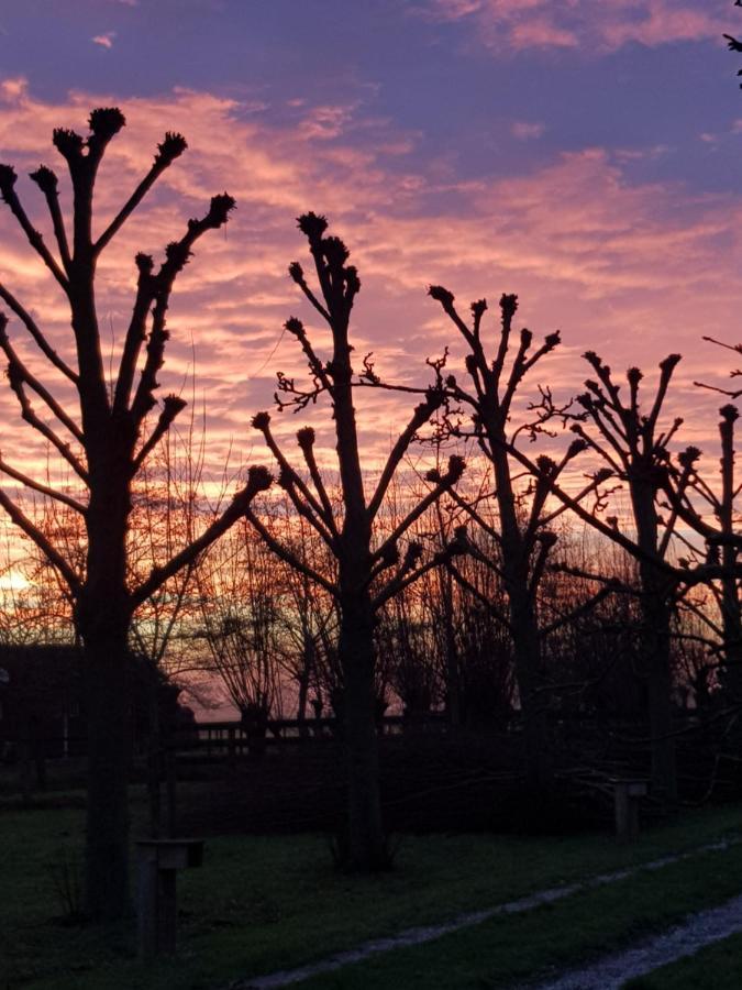 Pauwenstee Villa Stolwijk Bagian luar foto
